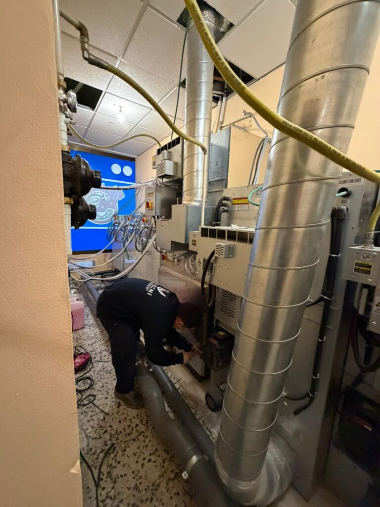 WhatsApp Image 2025-11-11 at 09.00.50 (3)