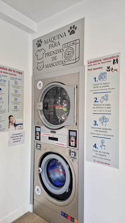 WhatsApp Image 2026-03-16 at 13.41.38 (3)